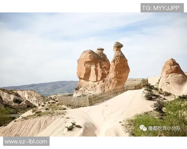 足球明星的妻子们在土耳其的生活与风采短片分享