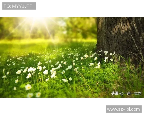 篮球明星的励志名言激励你追逐梦想与成就人生的精彩旅程